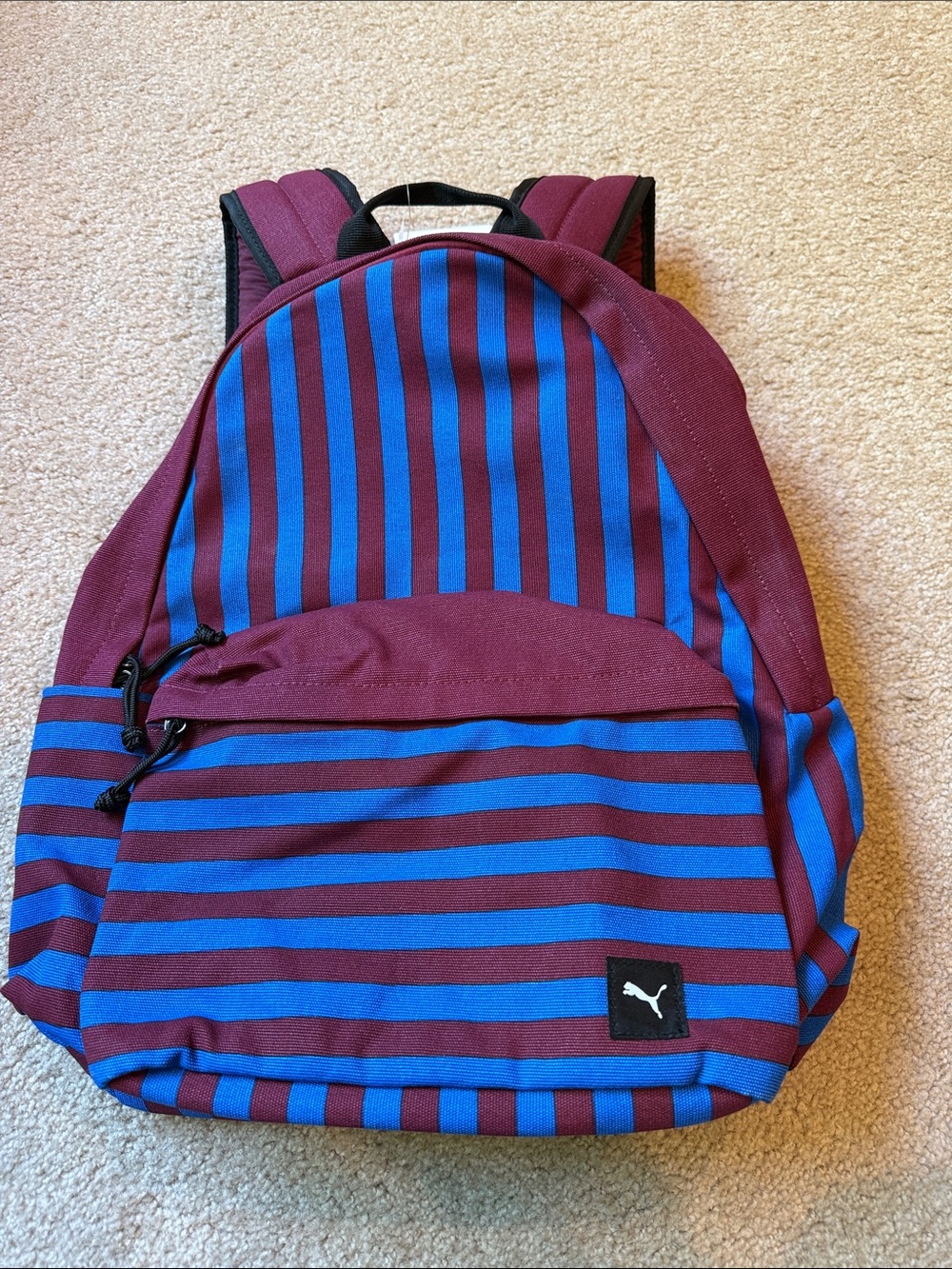 Puma Maroon and Blue Striped Backpack